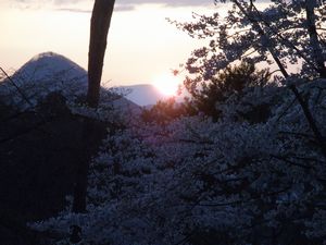 2010桜_太白山と夕日.jpg